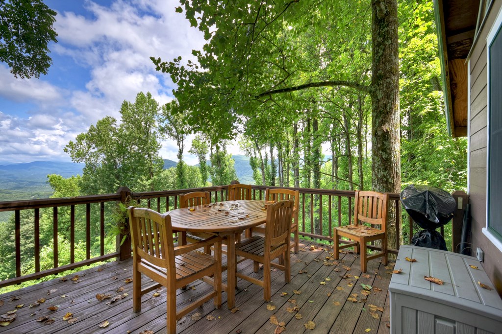 417402 Ellijay Residential