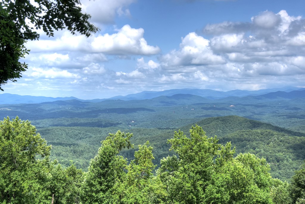 417402 Ellijay Residential