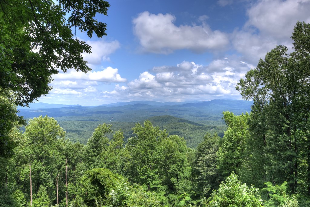 417402 Ellijay Residential