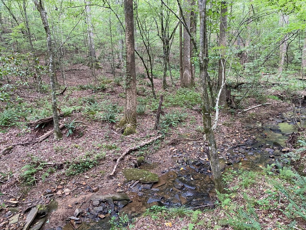 417404 Jasper Land