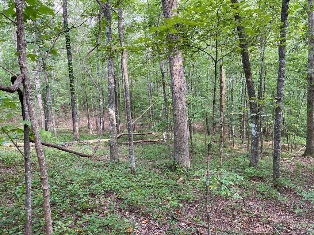 417404 Jasper Land