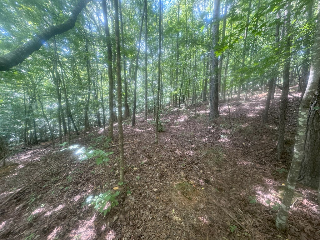 417404 Jasper Land