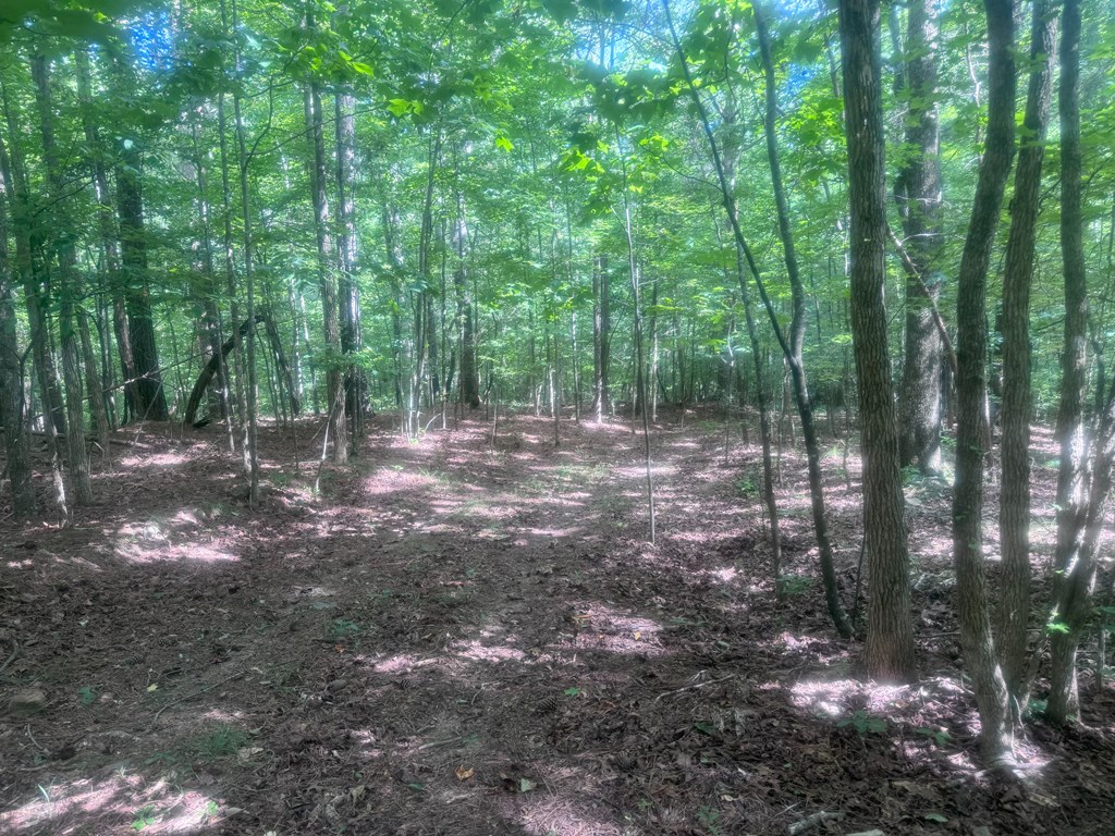 417404 Jasper Land
