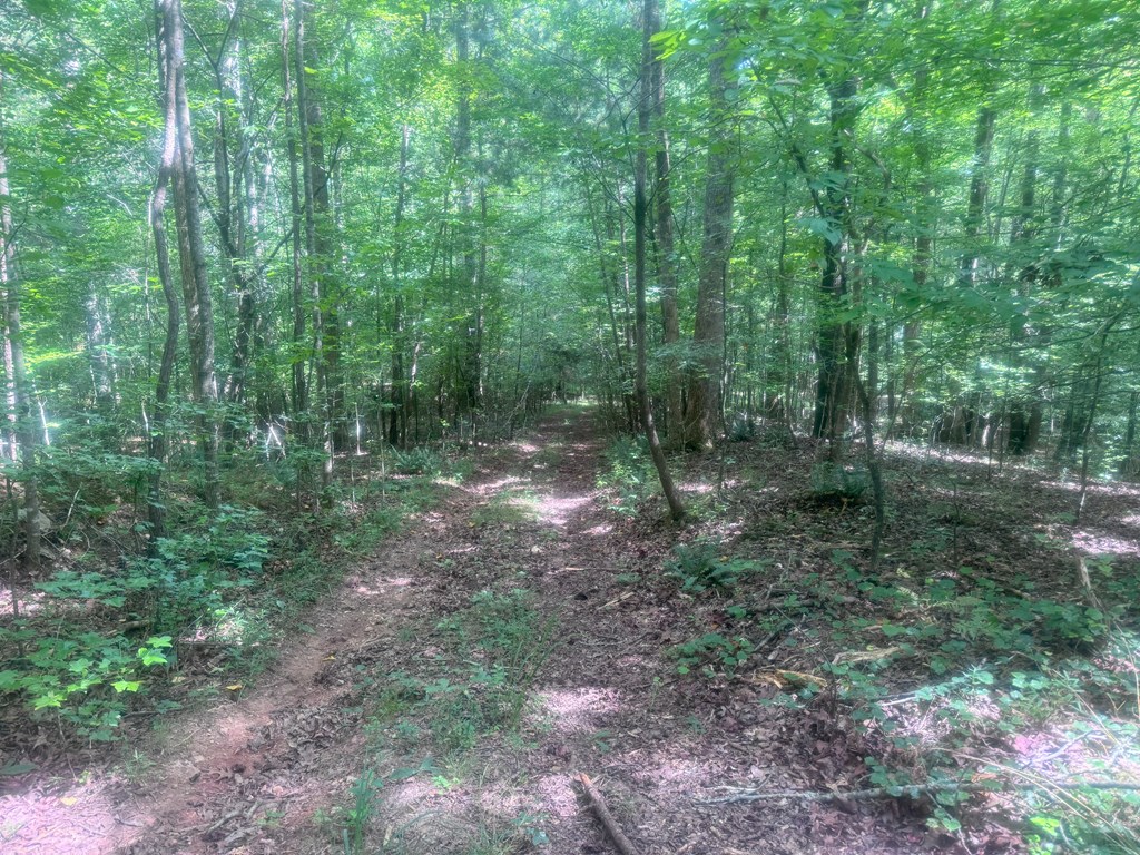 417404 Jasper Land