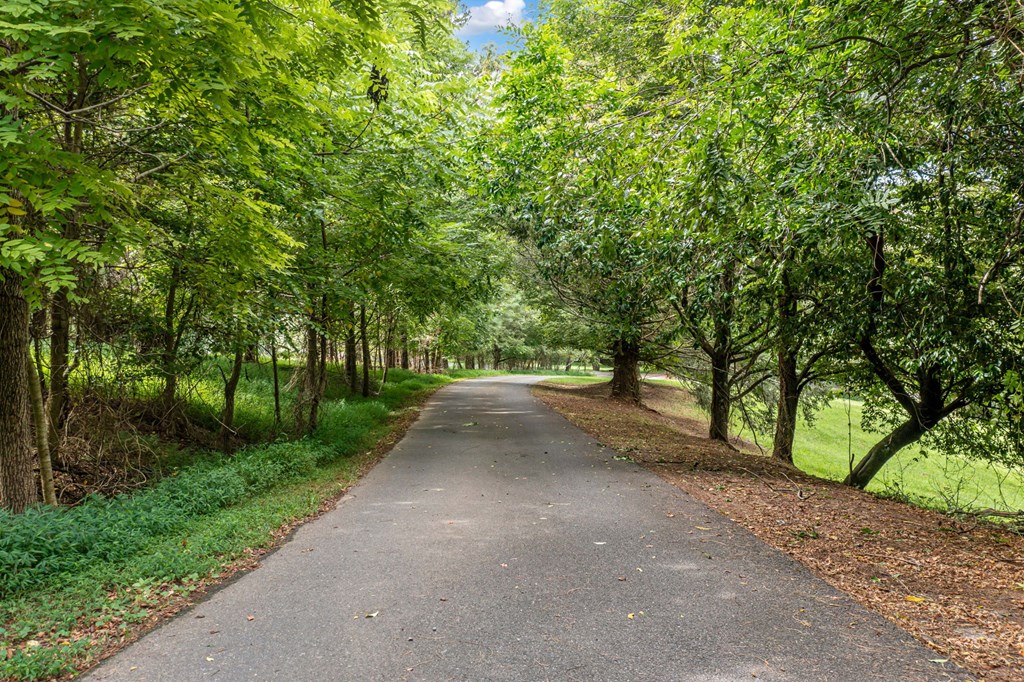 417406 Ellijay Residential