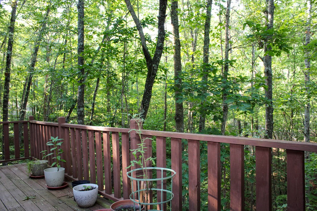 417412 Murphy Residential