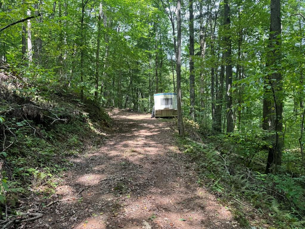 417413  Land