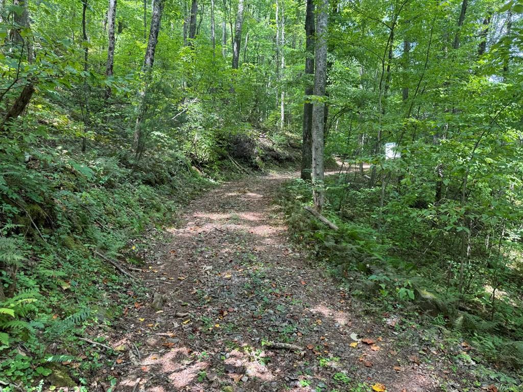 417413 Suches Land