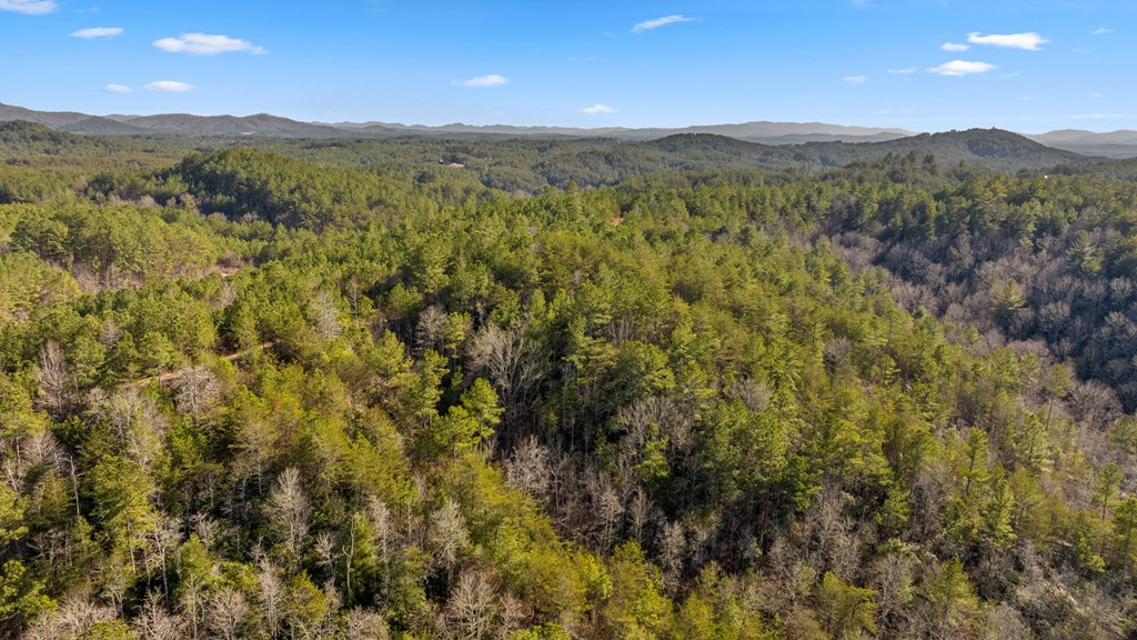 417420 Turtletown Land