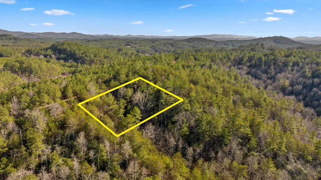 417420 Turtletown Land