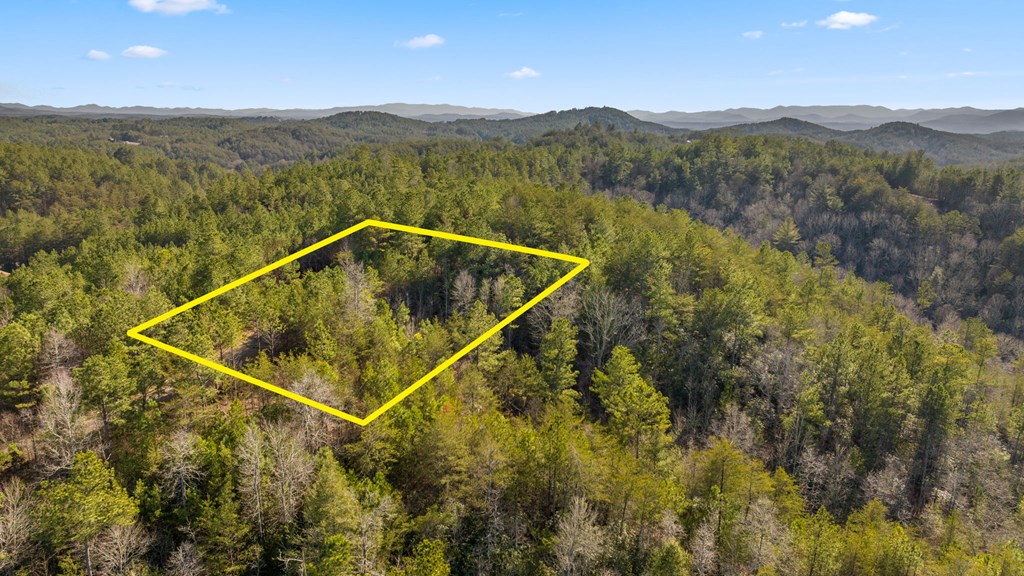 417420 Turtletown Land