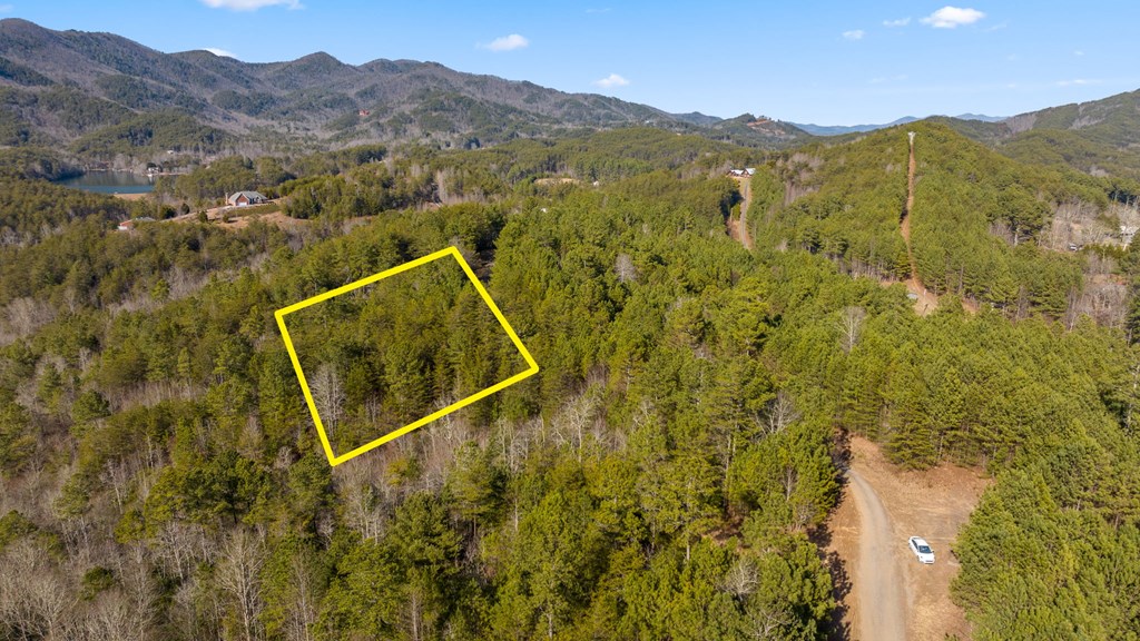 417420 Turtletown Land