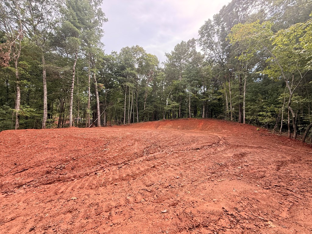 417421 Ellijay Land