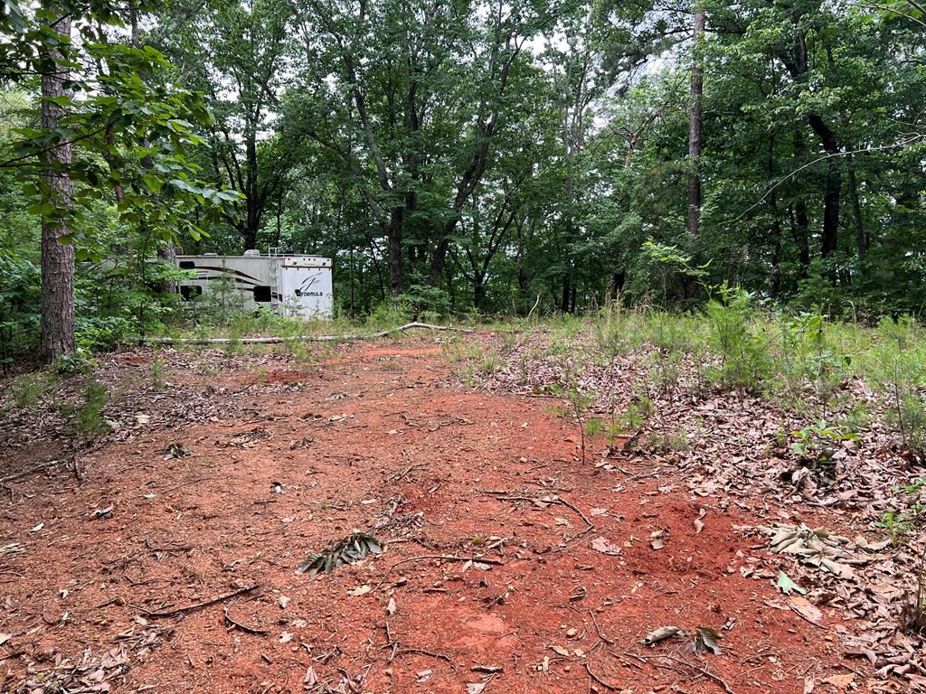 417436 Ellijay 