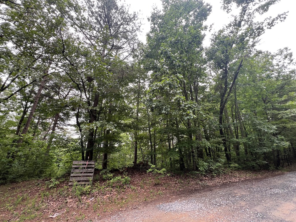 417437 Ellijay Land