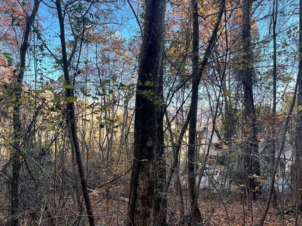 417443 Hayesville 