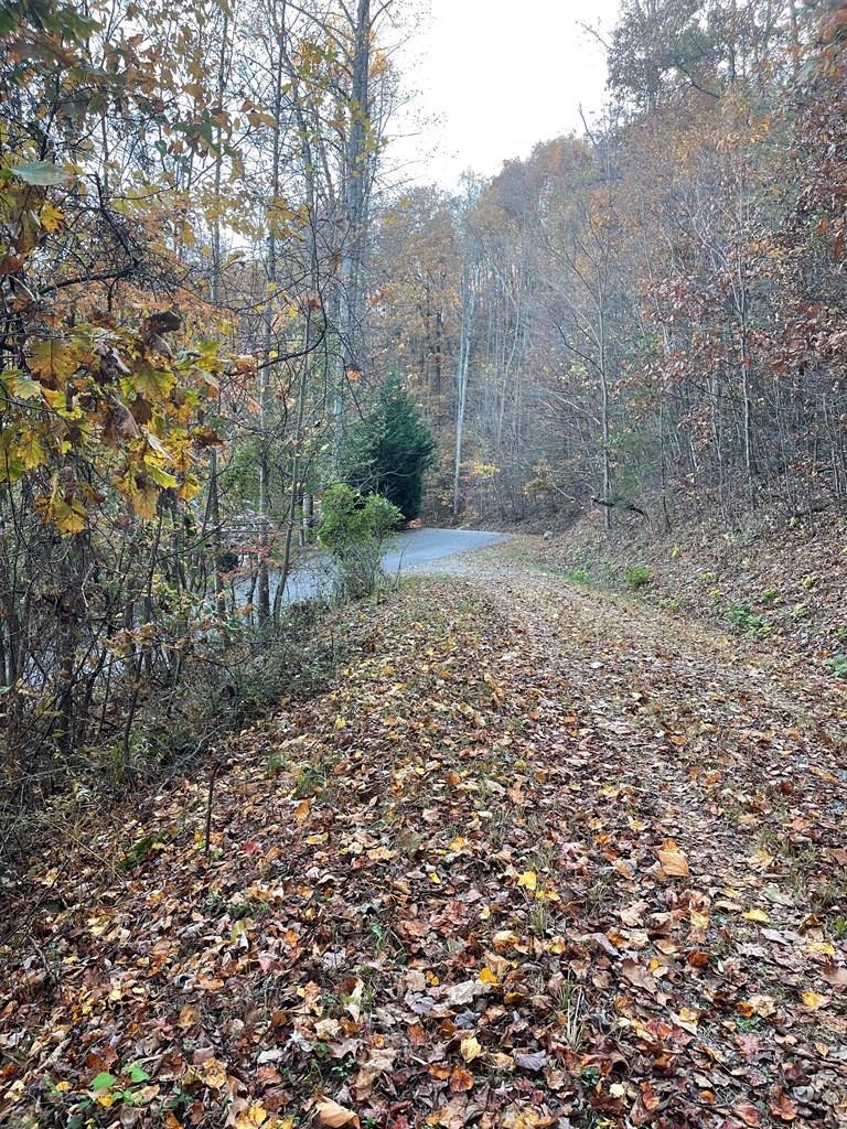 417443 Hayesville Land