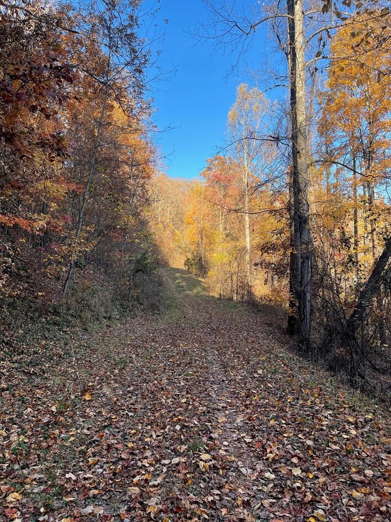 417443 Hayesville Land