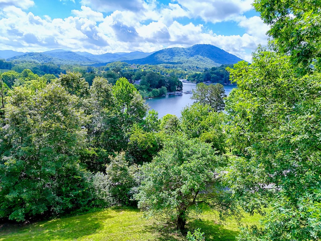 417451 Hayesville Residential