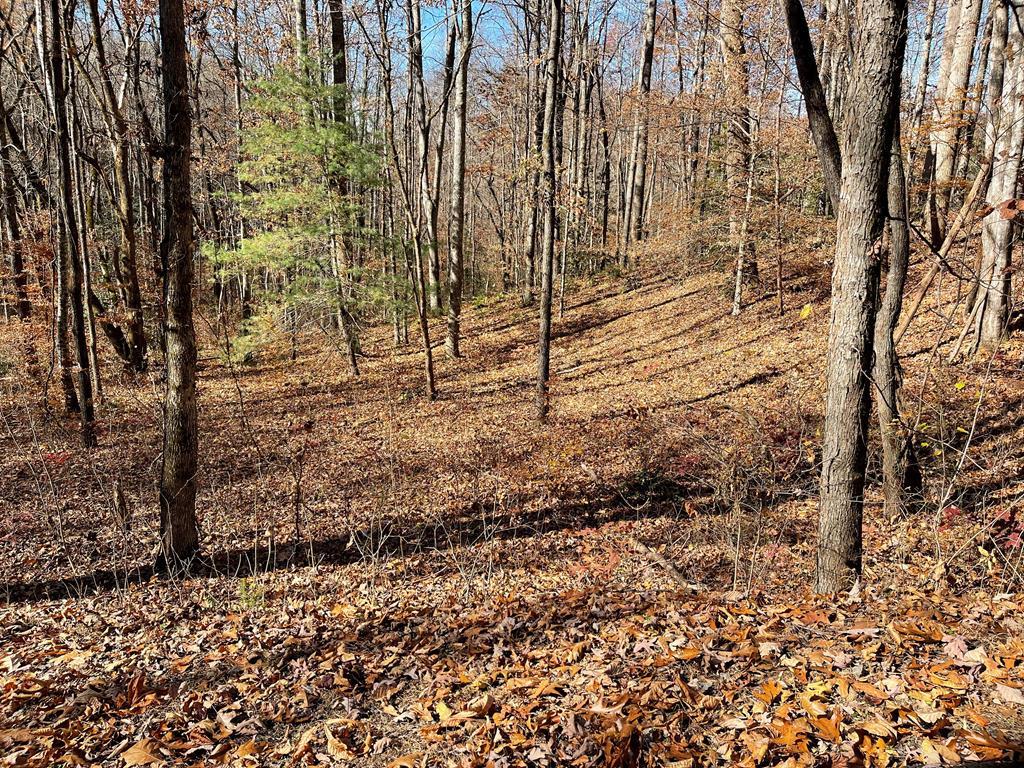 417453 Hayesville 