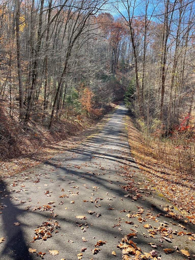 417453 Hayesville Land