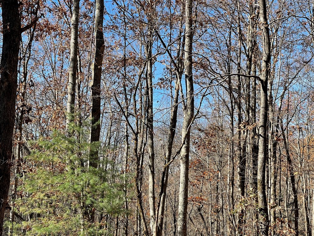 417453 Hayesville Land