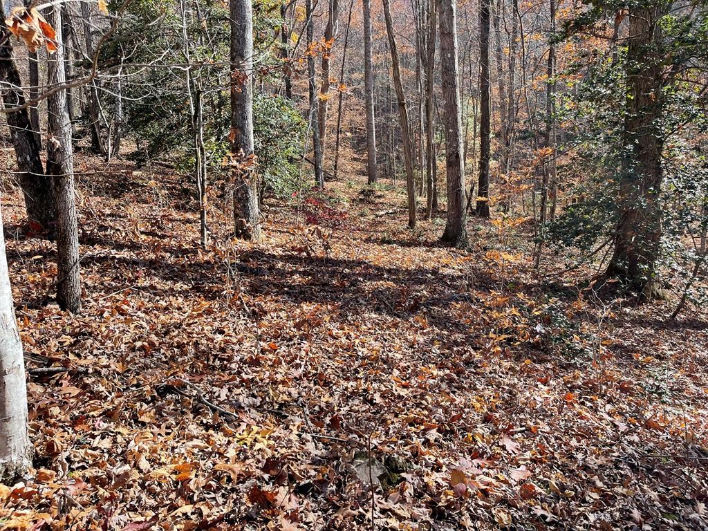 417453 Hayesville Land