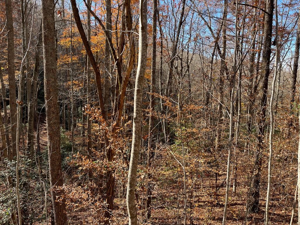 417453 Hayesville Land