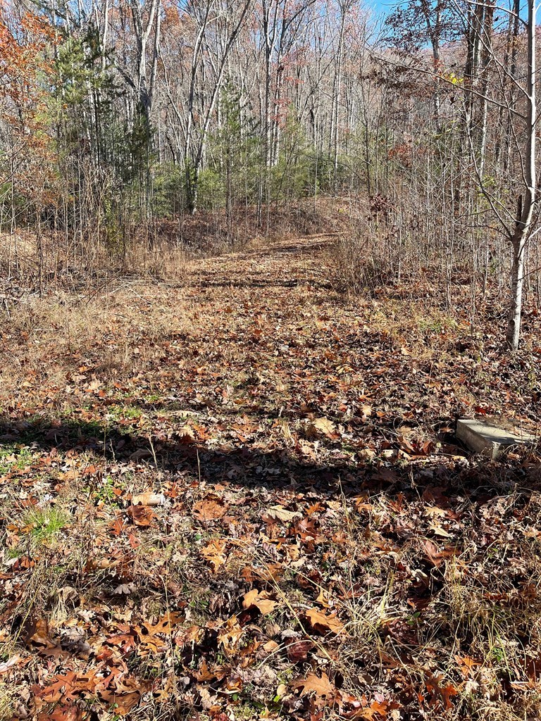 417453 Hayesville Land