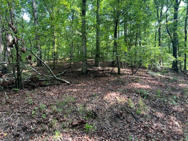 417455 Talking Rock Land