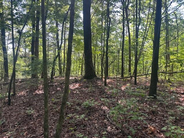 417457  Land