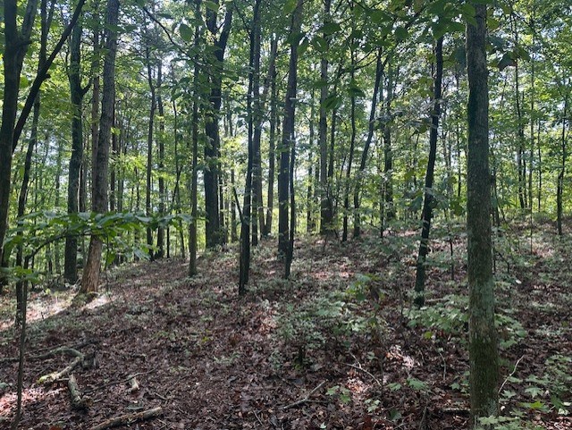 417457 Talking Rock Land