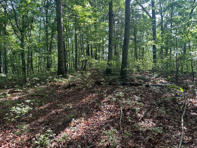 417457 Talking Rock Land