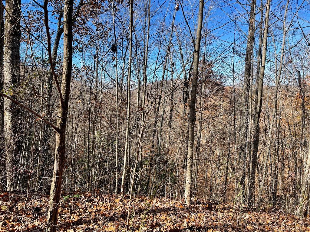 417459 Hayesville 