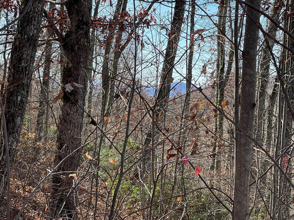 417459 Hayesville Land