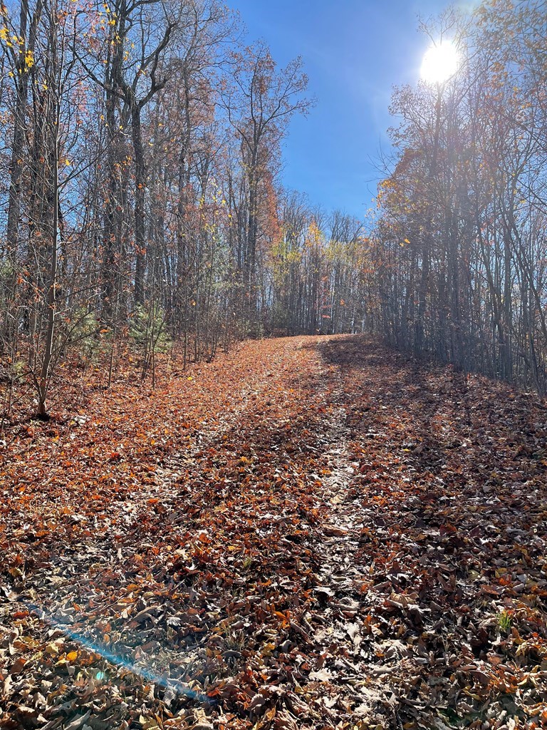 417459 Hayesville Land