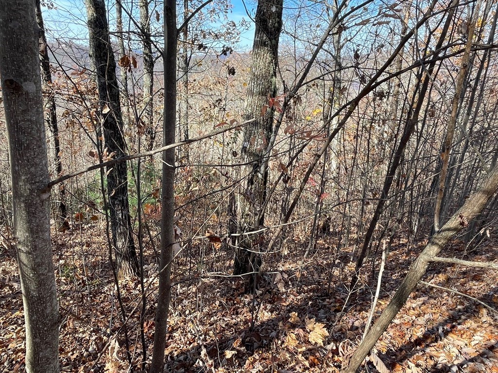 417459 Hayesville Land