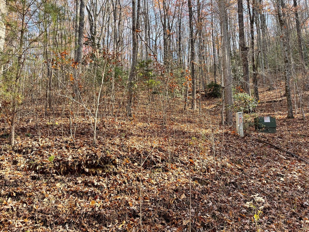 417459 Hayesville Land