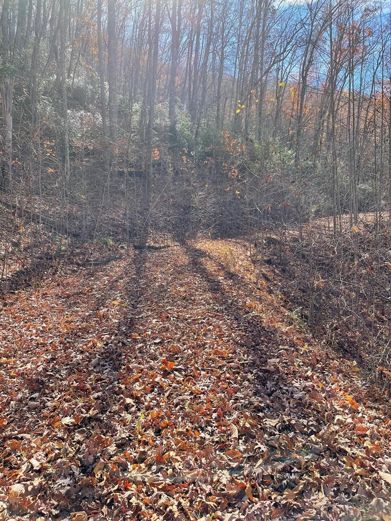 417459 Hayesville Land