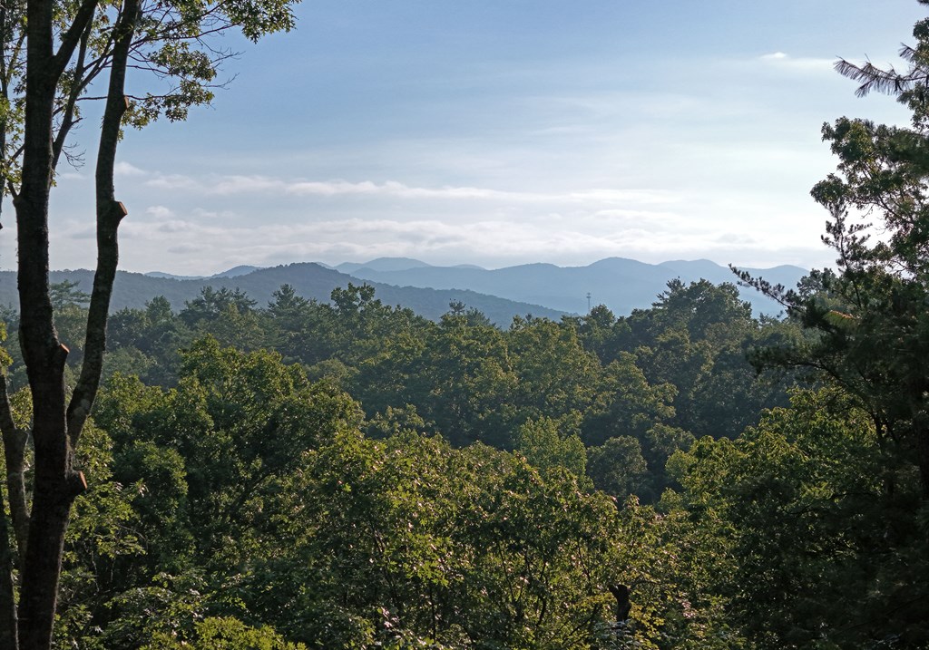 417460 Blairsville Residential
