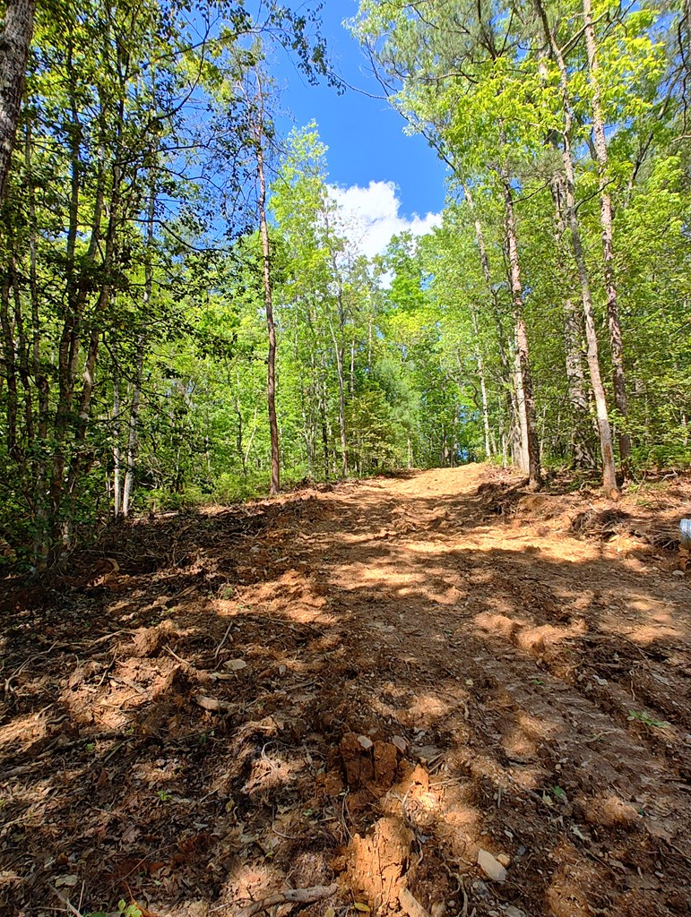 417465 Turtletown Land