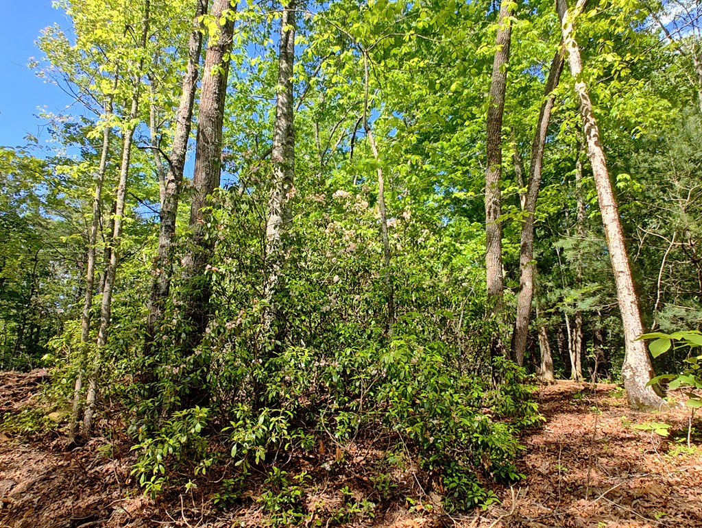 417465 Turtletown Land