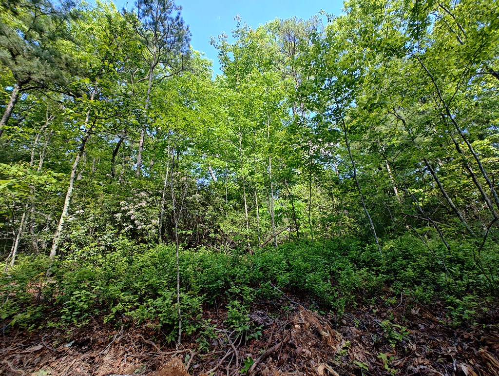 417465 Turtletown Land
