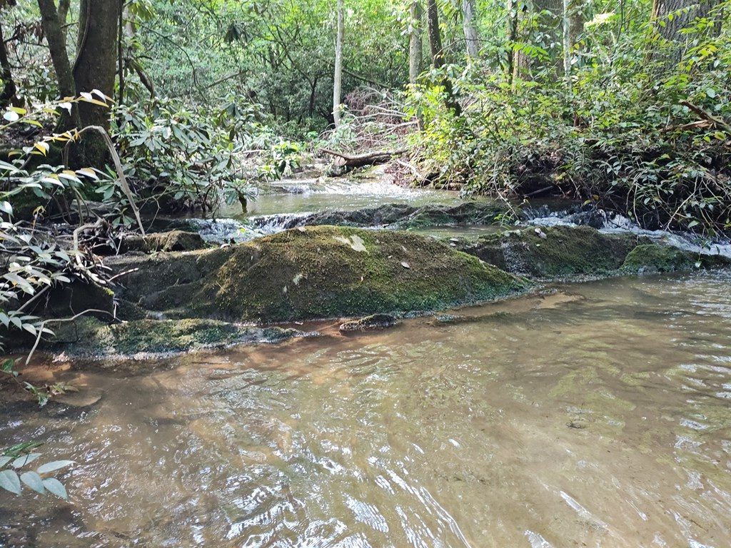 417465 Turtletown Land
