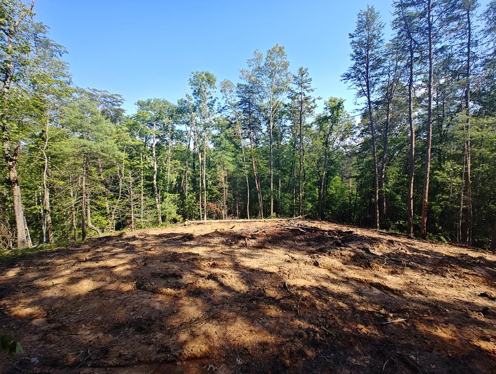 417468  Land