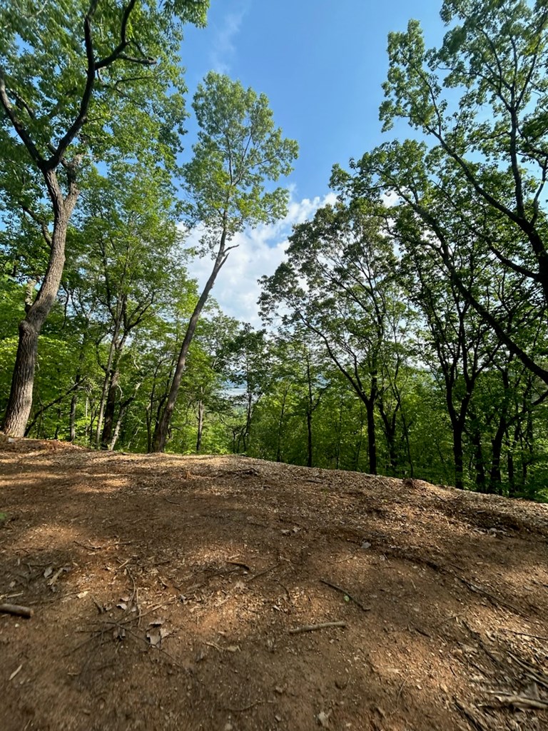 417483 Ranger Land