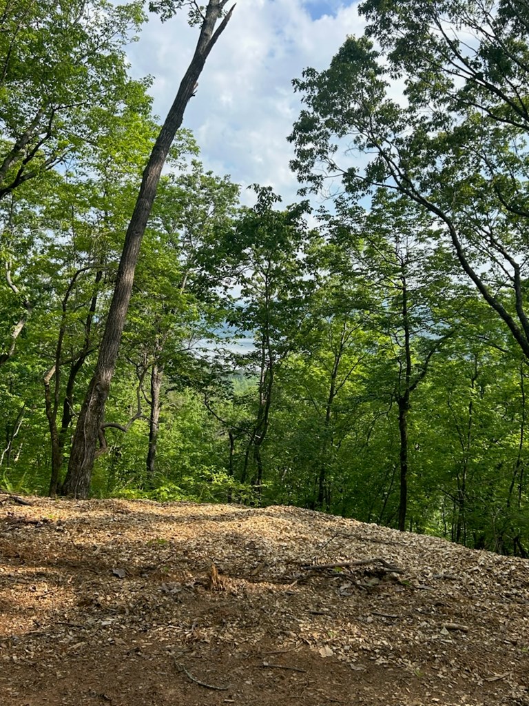 417483 Ranger Land