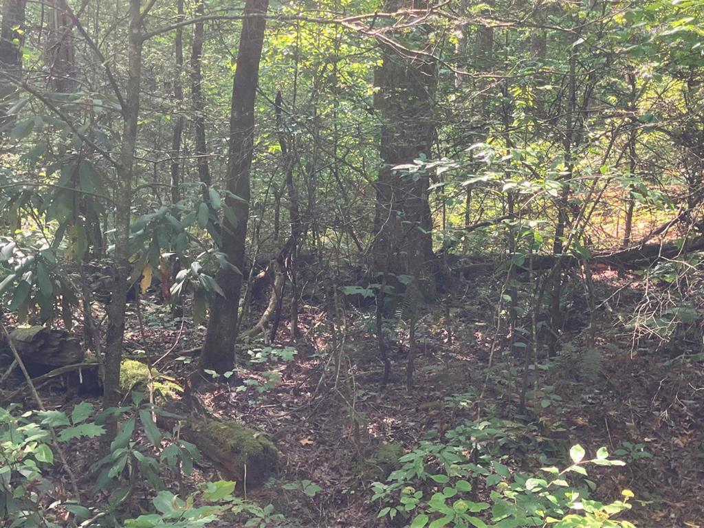 417484  Land