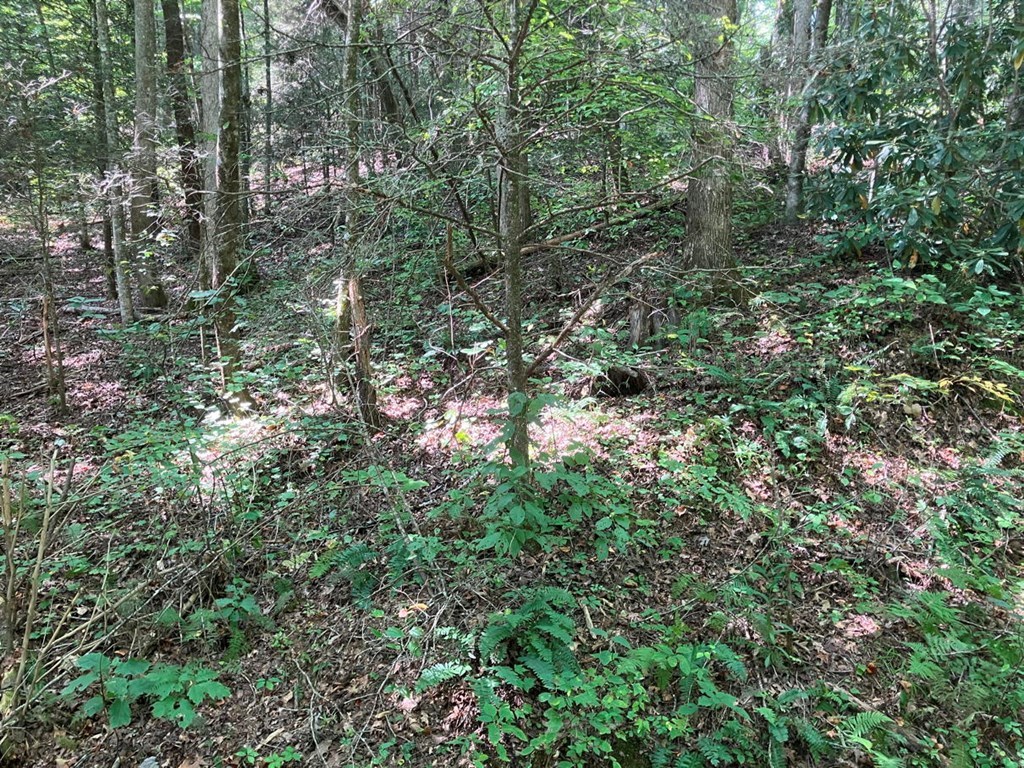 417484 Murphy Land