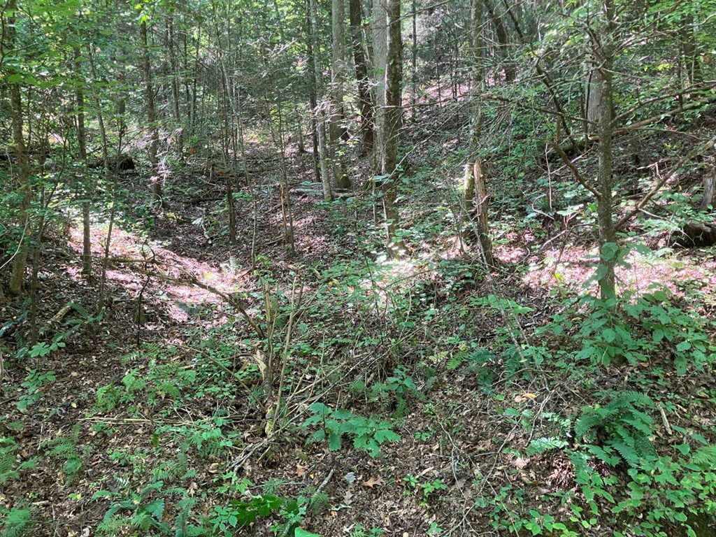 417484 Murphy Land